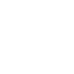 NAA Auctioneer